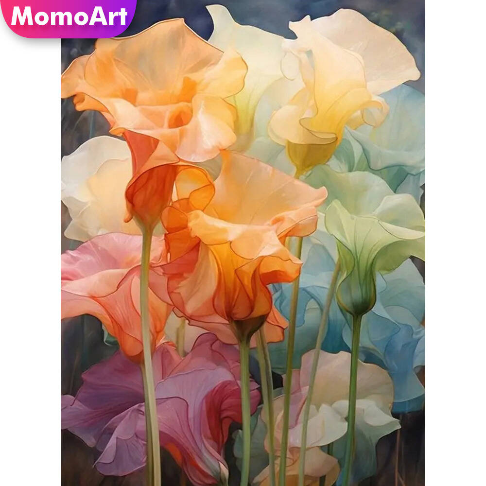 Momoart Full Square Round Diam - Art Craft Hobbies review and price