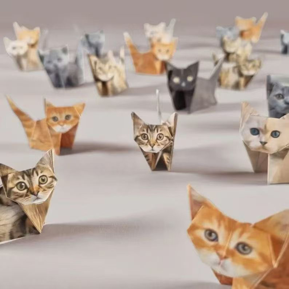Creative DIY Paper Cats 50 She - Art Craft Dinosaurs review and price