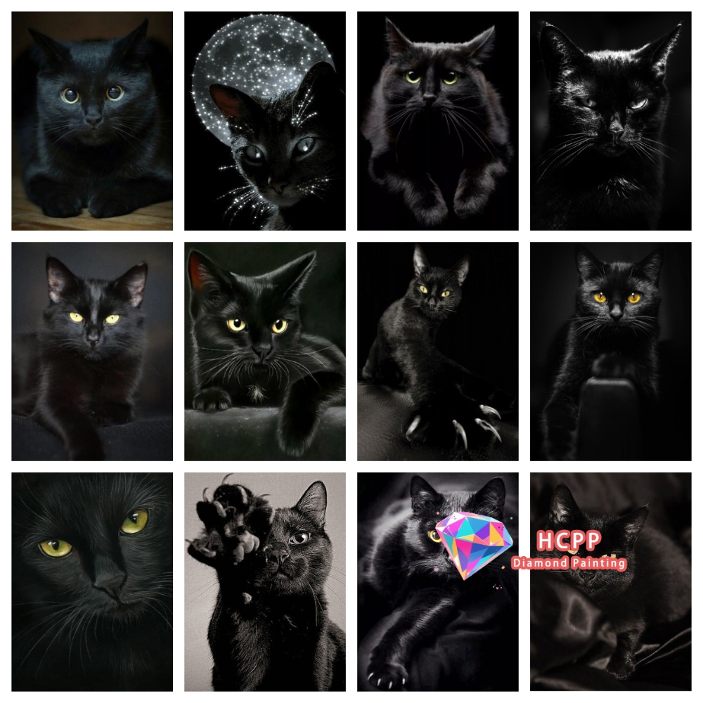 unframe Black Cat Animal Diamo - Art Y Craft review and price