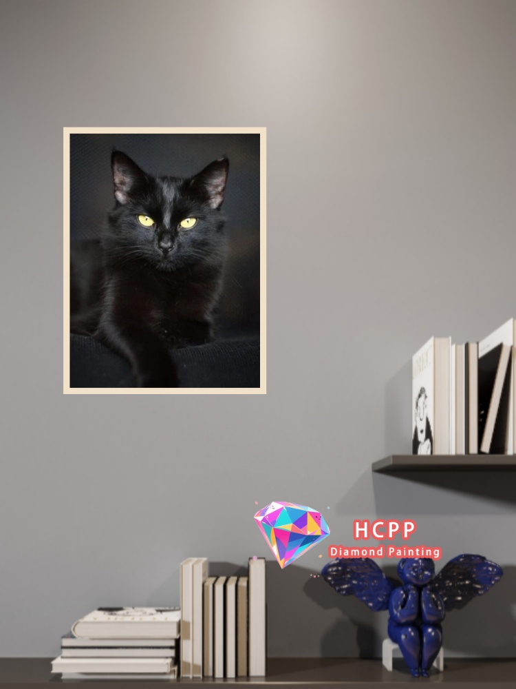 unframe Black Cat Animal Diamo - Art Y Craft review and price