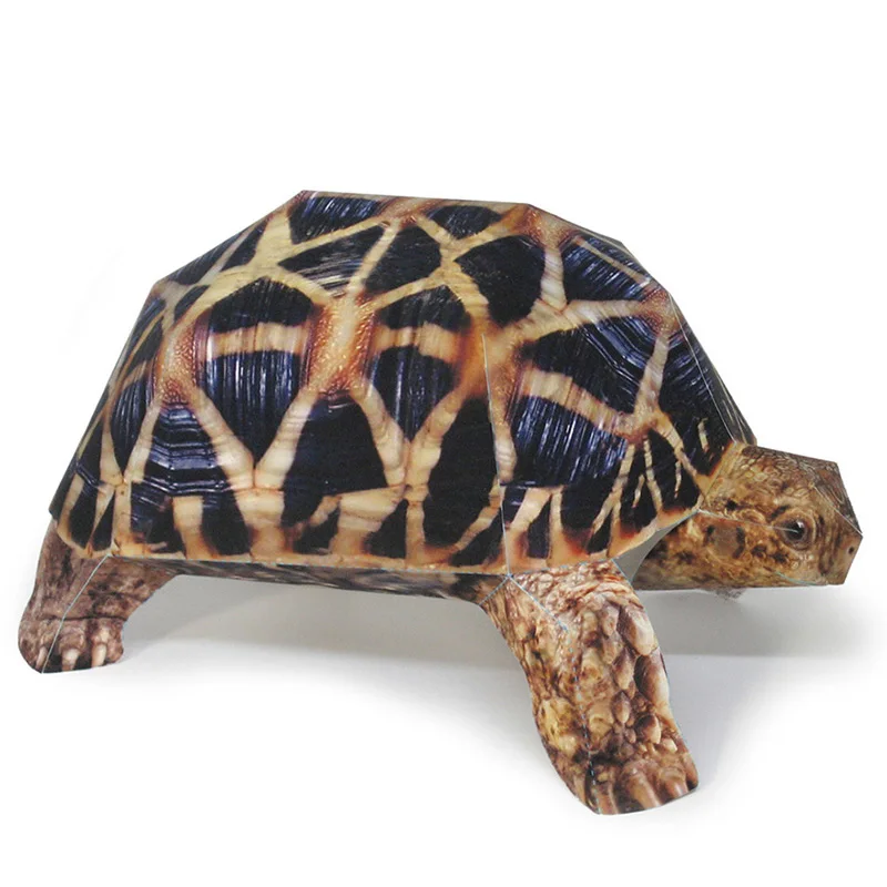 Indian Star Tortoise Paper Mod - Art Craft Cardboard review and price