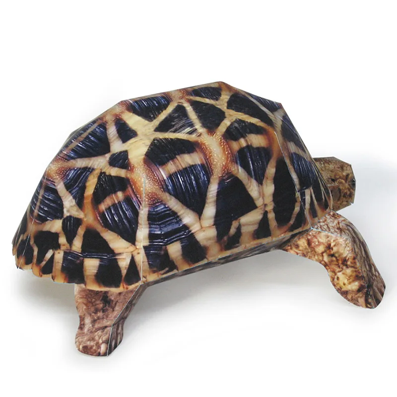 Indian Star Tortoise Paper Mod - Art Craft Cardboard review and price