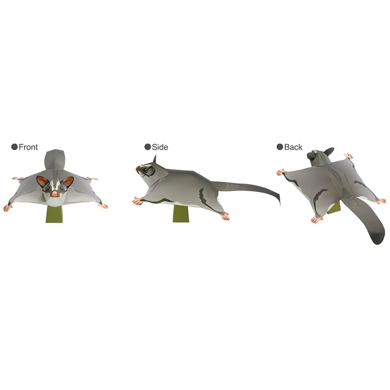 Sugar Glider Flying Mouse Hand - Art Craft Cardboard review and price