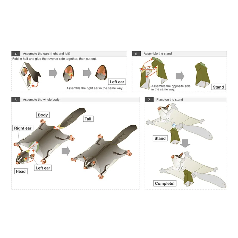 Sugar Glider Flying Mouse Hand - Art Craft Cardboard review and price