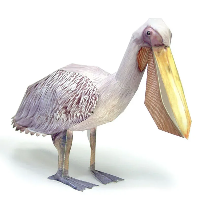 Great White Pelican Bird Paper - Art Craft Cardboard review and price
