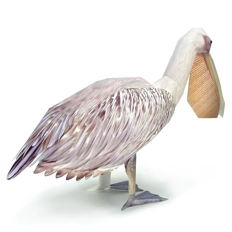 Great White Pelican Bird Paper - Art Craft Cardboard review and price